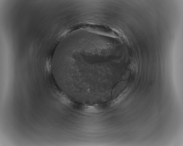 X0000112420285200908141417