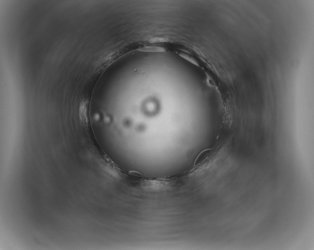 X0000112420286200908141417