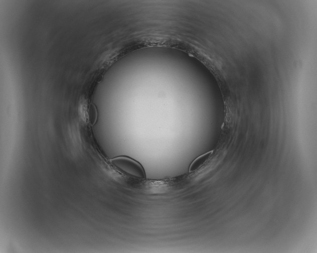 X0000112420287200908141417