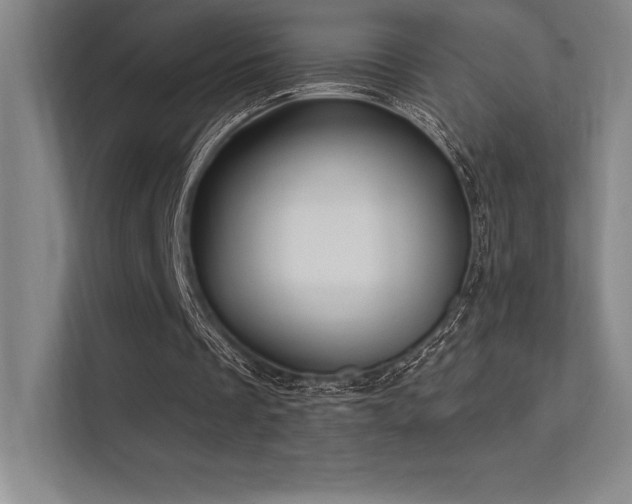 X0000112420289200908141416