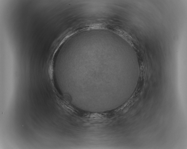 X0000112420290200908141416