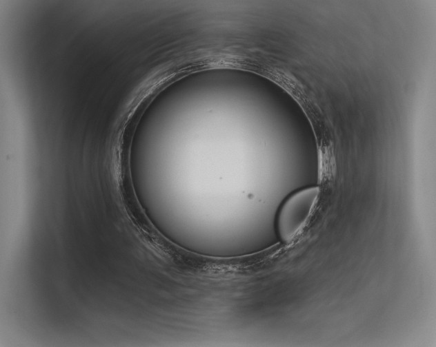 X0000112420291200908141416