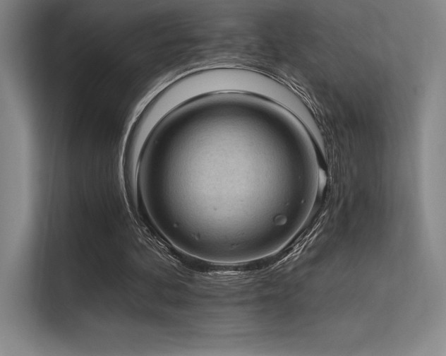 X0000112420292200908141416
