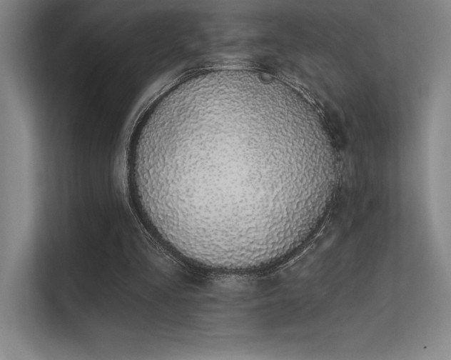 X0000112420293200908141416