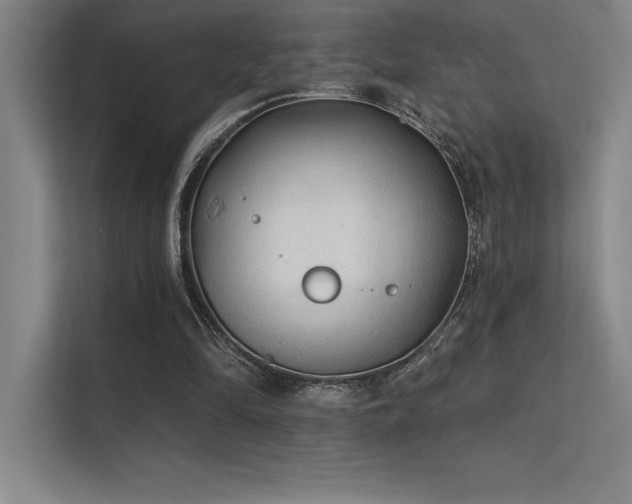 X0000112420294200908141416