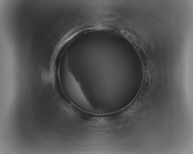 X0000112420295200908141416