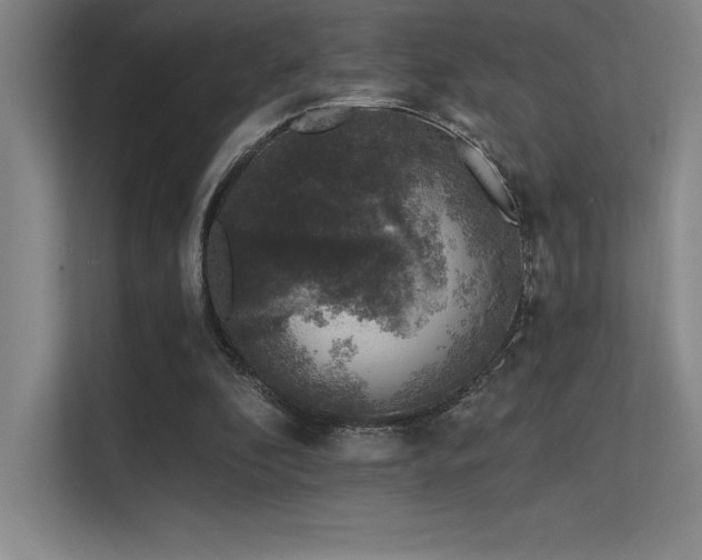 X0000112420296200908141416