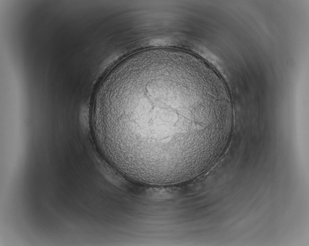 X0000112420297200908141416