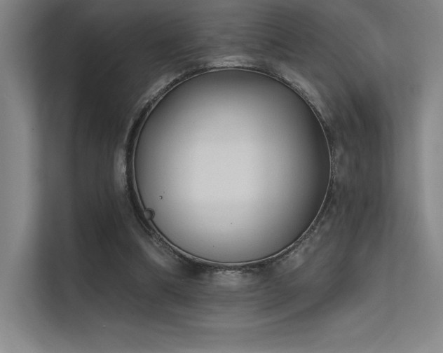 X0000112420298200908141416