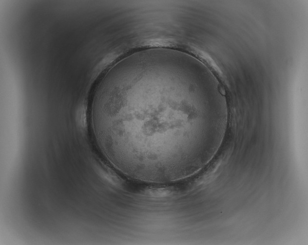 X0000112420299200908141416