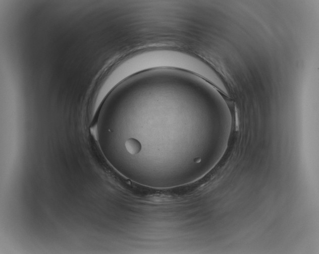 X0000112420300200908141416