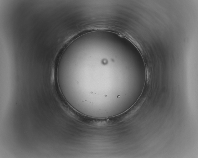 X0000112420301200908141416