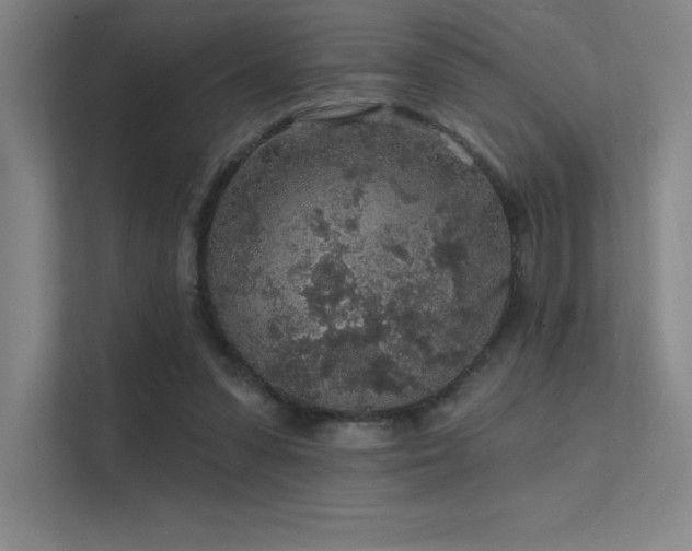 X0000112420303200908141416