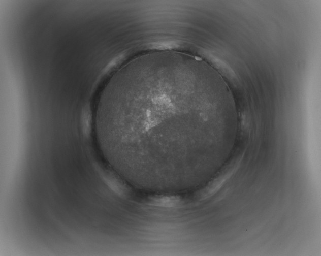 X0000112420304200908141416