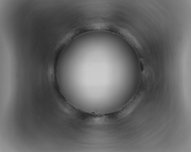 X0000112420306200908141416