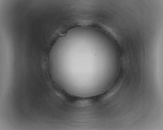 X0000112420307200908141416