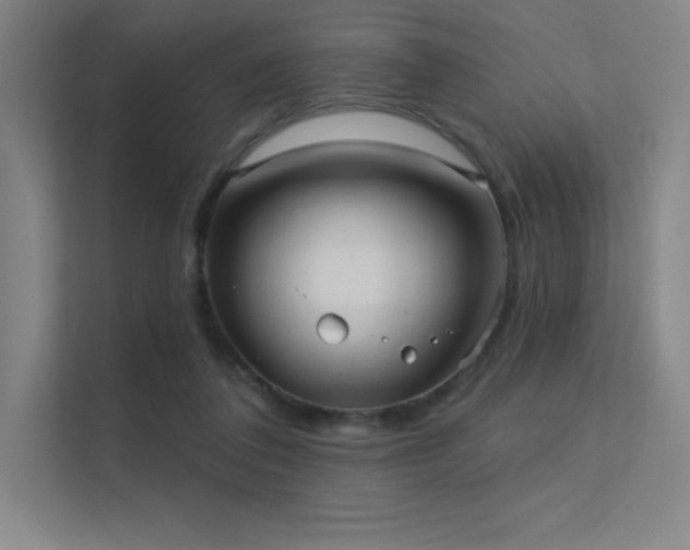 X0000112420308200908141416