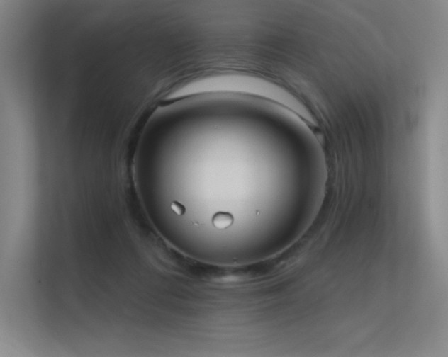 X0000112420312200908141416