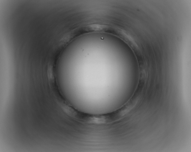 X0000112420317200908141416