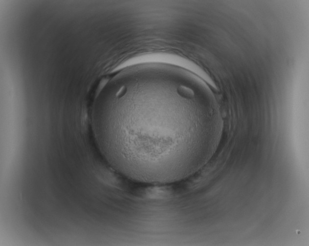 X0000112420320200908141416