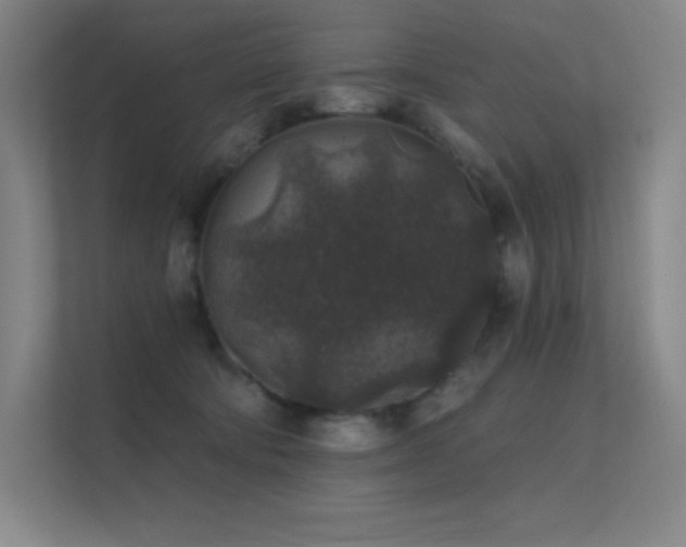 X0000112420322200908141416