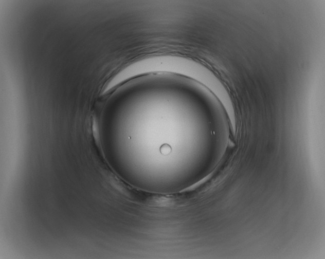 X0000112420325200908141416