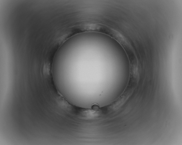 X0000112420326200908141416