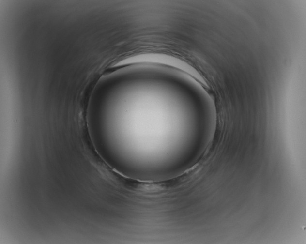 X0000112420327200908141416