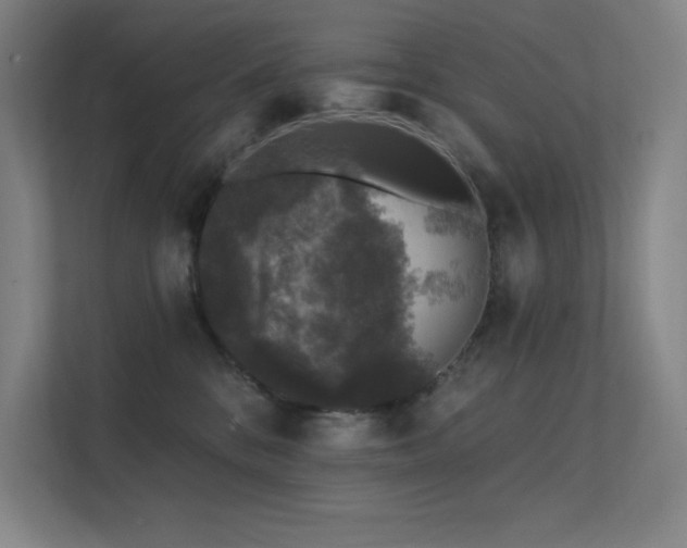 X0000112420328200908141416