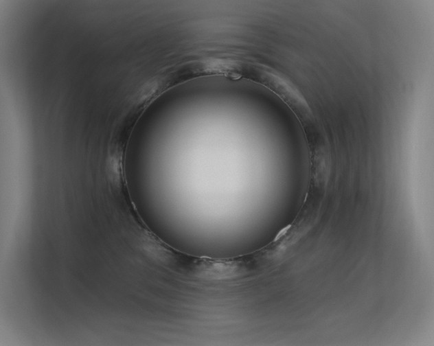 X0000112420329200908141416