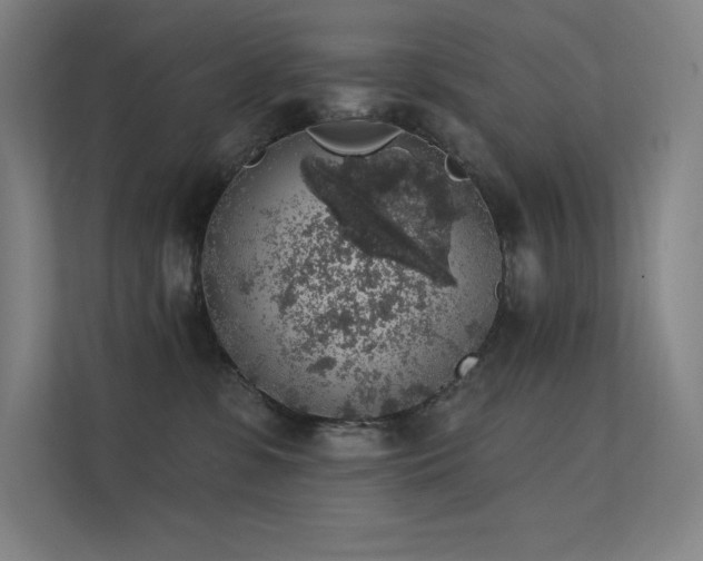 X0000112420331200908141416