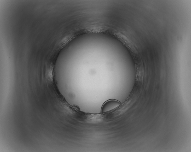 X0000112420334200908141416