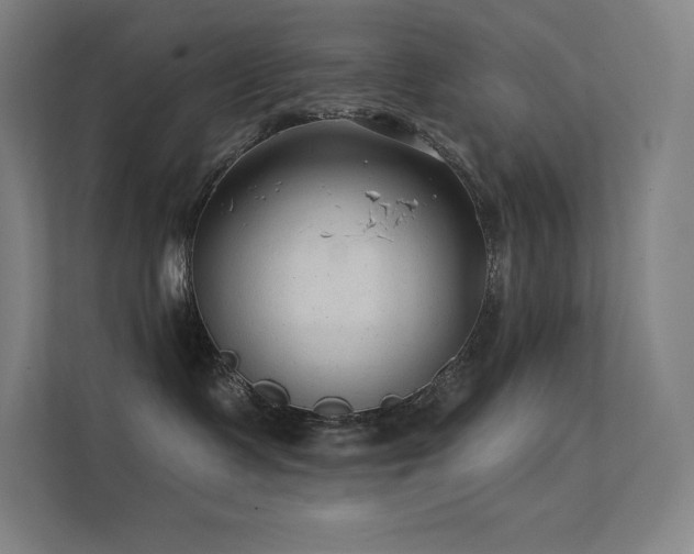 X0000112420335200908141416