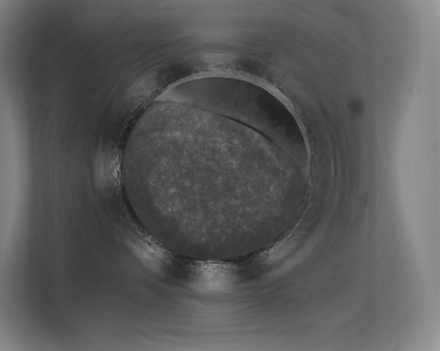 X0000112420336200908141416