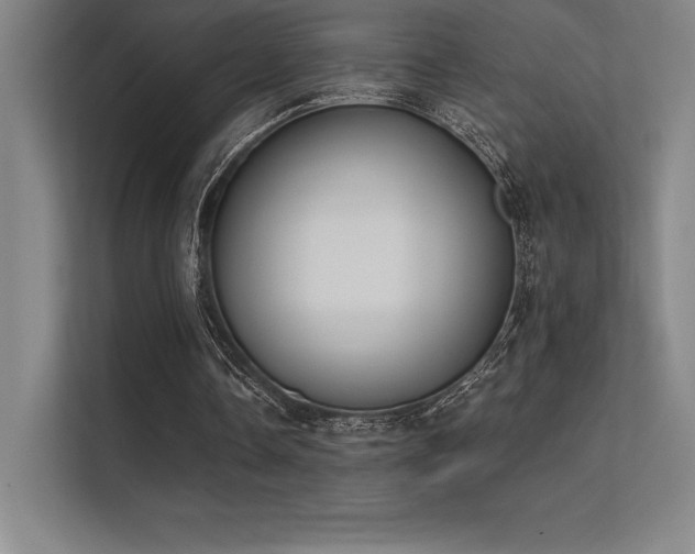 X0000112420338200908141415