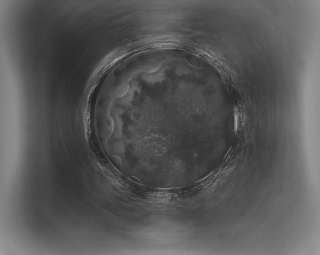 X0000112420339200908141415