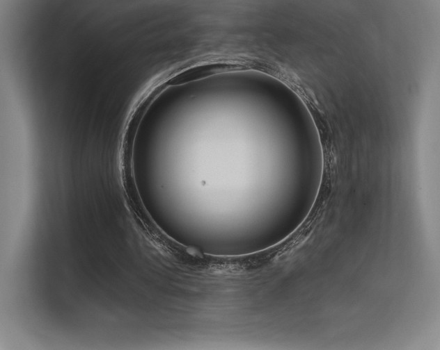 X0000112420340200908141415
