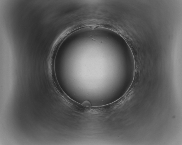 X0000112420341200908141415