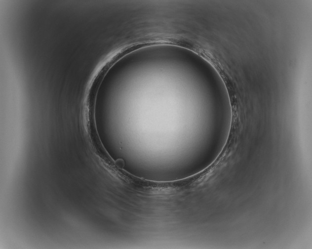 X0000112420342200908141415