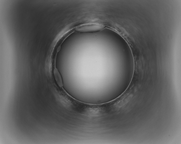 X0000112420344200908141415