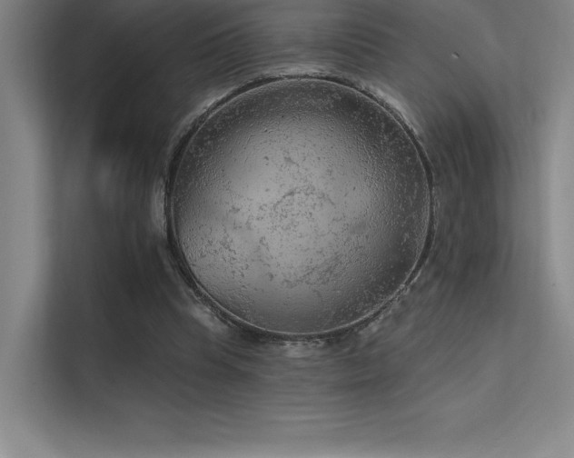 X0000112420345200908141415