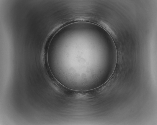 X0000112420346200908141415