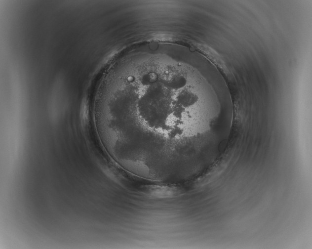 X0000112420347200908141415