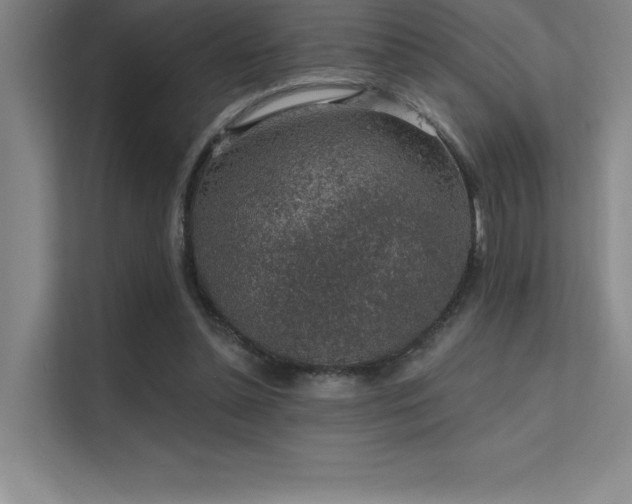 X0000112420348200908141415