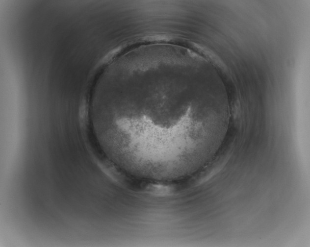 X0000112420352200908141415