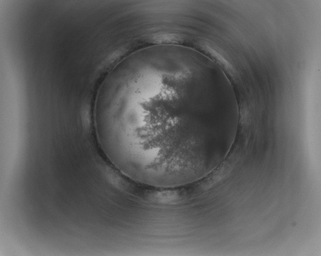 X0000112420353200908141415