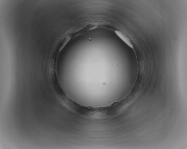X0000112420356200908141415