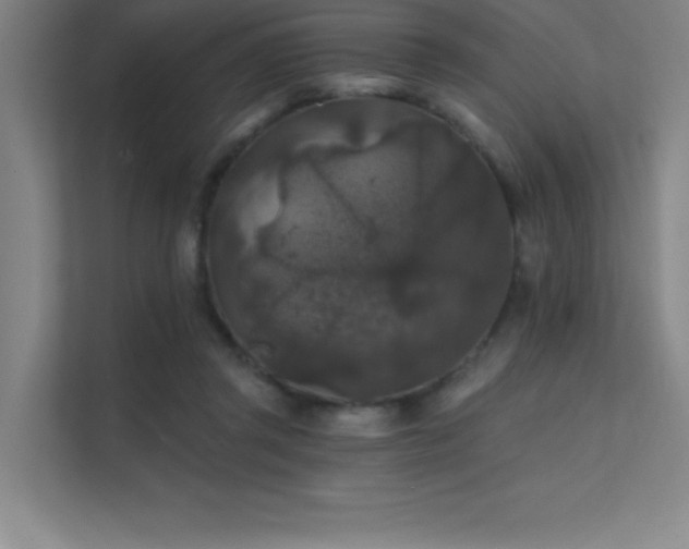 X0000112420357200908141415