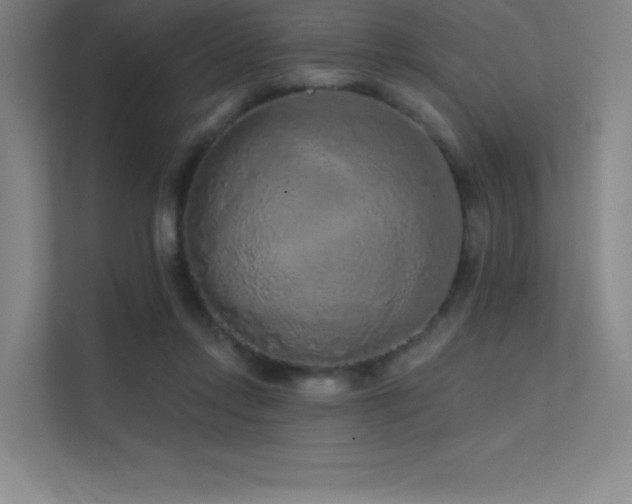 X0000112420358200908141415