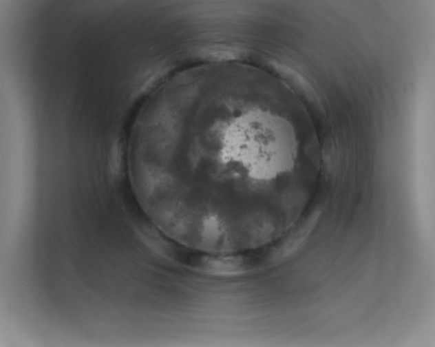X0000112420359200908141415